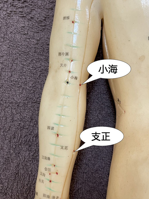 支正