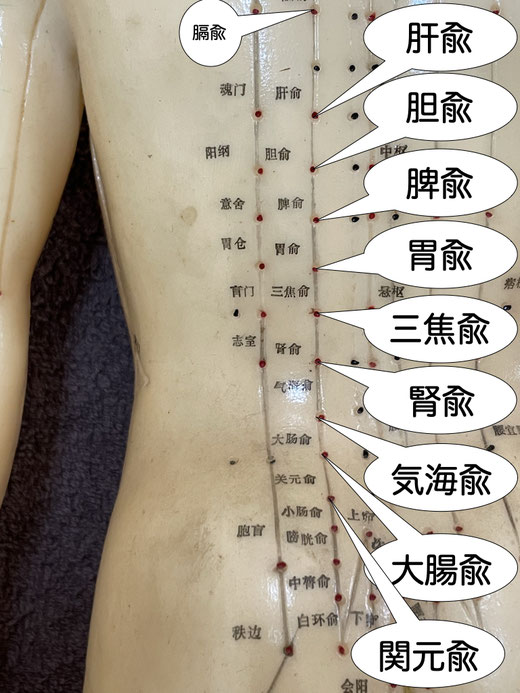 気海兪
