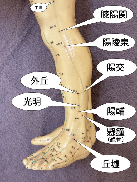 陽輔