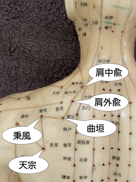 秉風