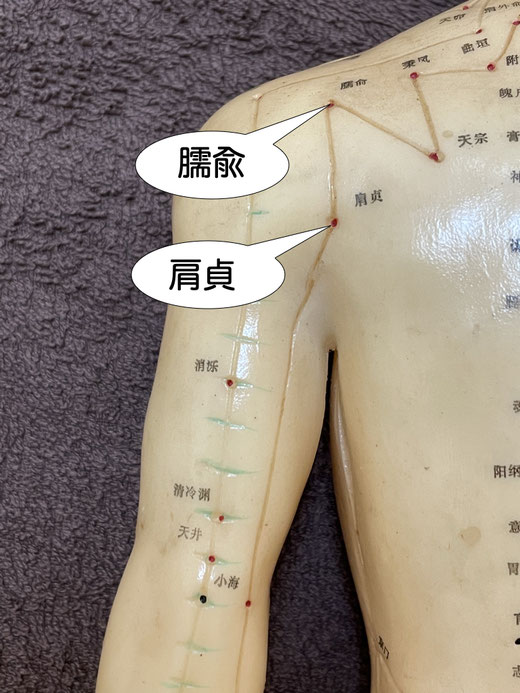 臑兪