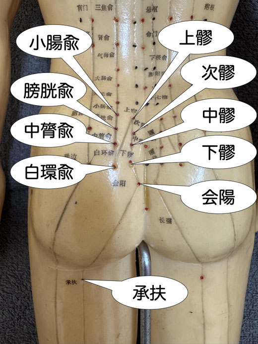 中髎