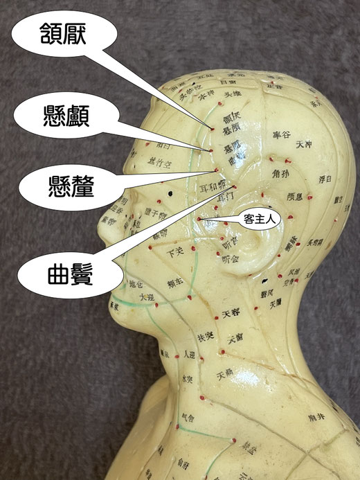 懸顱