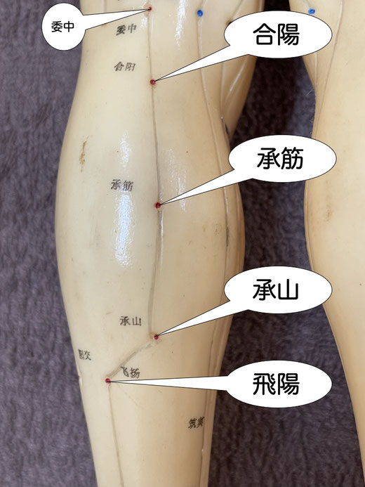 飛陽