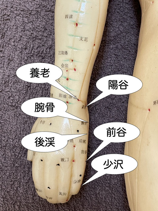 養老
