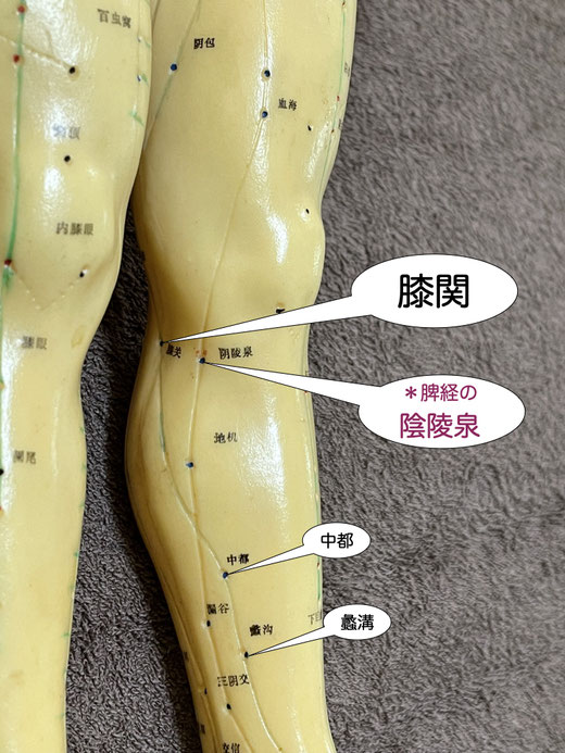 膝関
