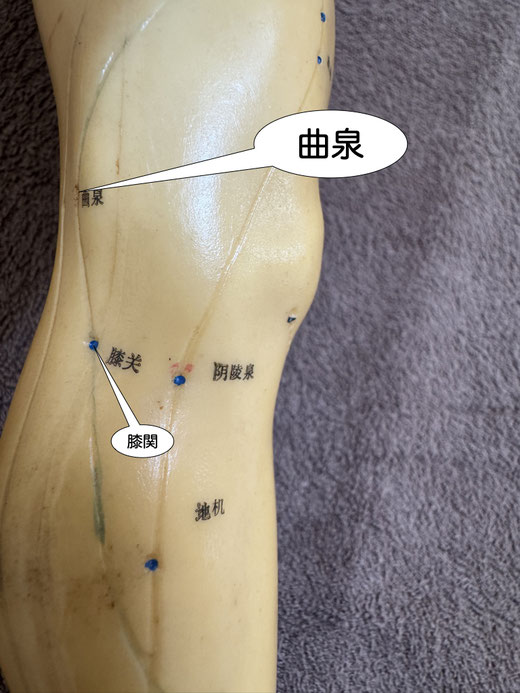 曲泉