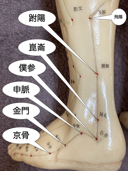 僕参