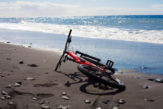 GIANT MTB Tazacorte