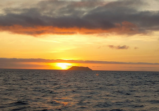 Bootsfahrt Galapagos - Tagestour oder Kreuzfahrt