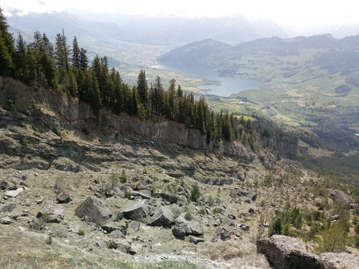 Die Abrissstelle des Goldauer Bergsturzes.
