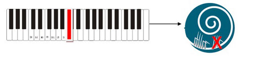 La cochlée abîmée comparée à un clavier de piano
