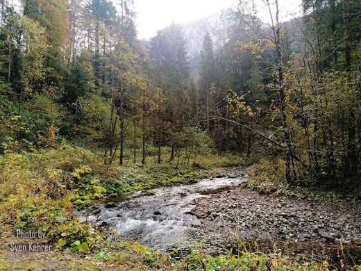 Mühlenrundweg