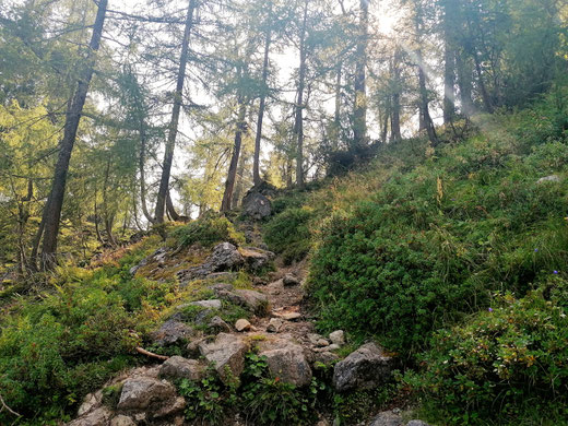 Aufstieg zur Gseng Alm (Photo by Sven Kehrer)