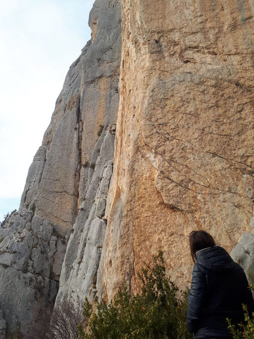 milieu naturel paroi escalade site roche calcaire nature couenne contemplation