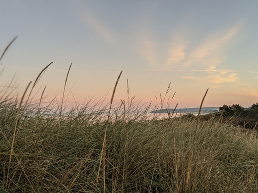 Düne am Strand von Hiddensee