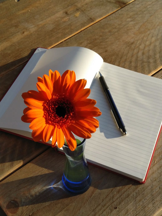 Noitzbuch mit einer blühenden Blume davor.