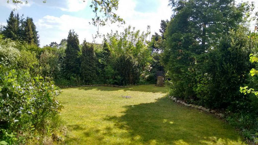 Eingewachsenes Grundstück, der Garten vom Blockhaus Güster