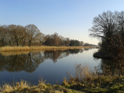Winter am Elbe-Lübeck-Kanal