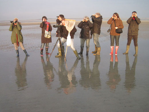 Guide Baie de Somme observation phoques traversée de la Baie activité aventure animaux à faire à voir à visiter à pied