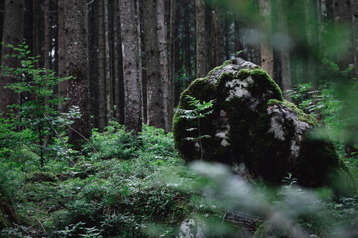 Fairytale Forest Ramsau, Bavaria, nature in Germany, magic forests