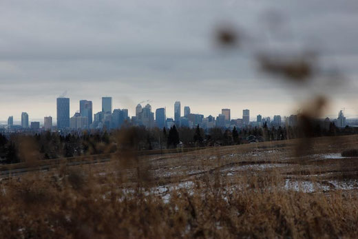 Skyline von Calgary, Kanada im Winter, Alberta