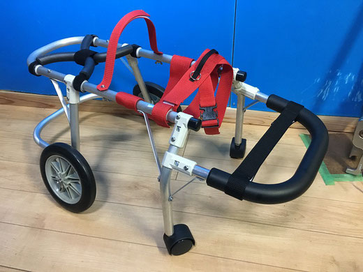 犬の車椅子制作・販売・レンタル・お試し - バックヤード 犬の車椅子制作・販売・レンタル・お試し - バックヤード