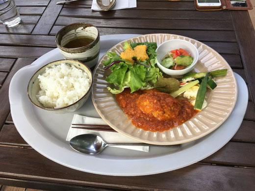 本日のおまかせランチ