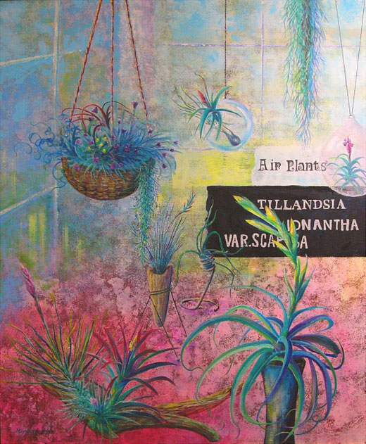 Tillandsia Room F20/アクリル