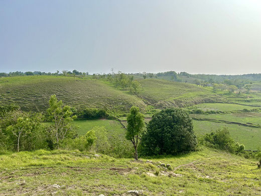 Sumba property for sale