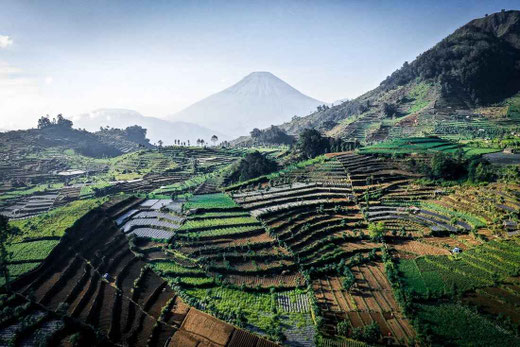 Dieng Plateau