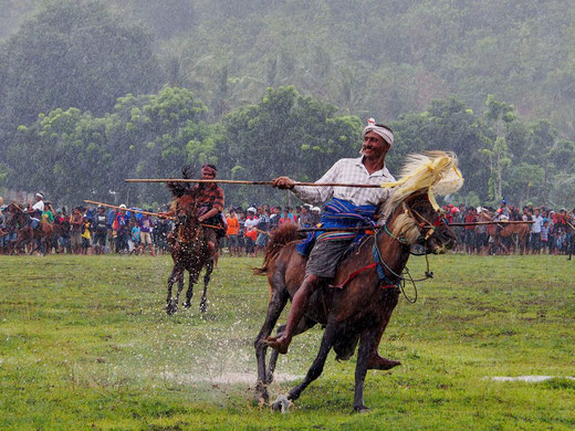 Pasola festival Sumba