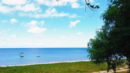West Sumba land for sale