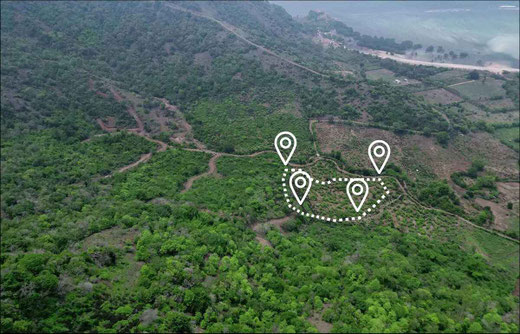 Sumbawa land for sale