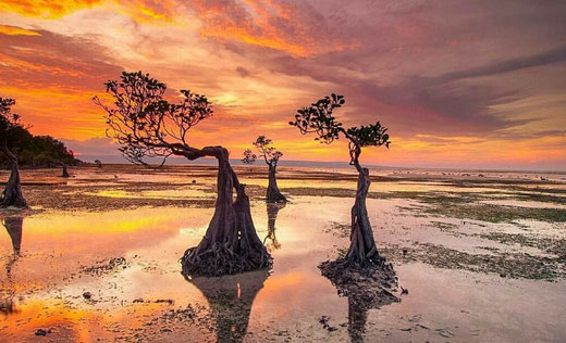 Walakiri Beach in East Sumba