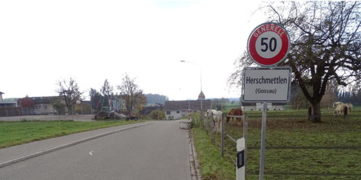 Planauflage für Tempo-30-Zone an der Schönbüelstrasse in Herschmettlen. Bild: ewp AG Zürich