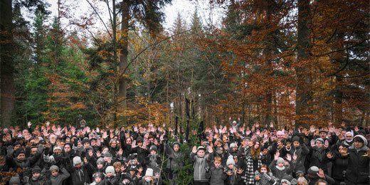 Der Kampf um den Tägernauer Wald geht in eine neue Runde. Bild: depo-nie.com