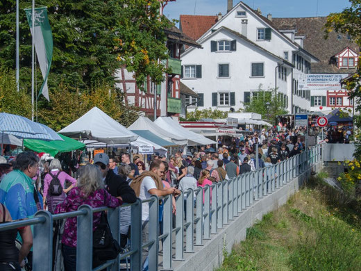 Zu enge Platzverhältnisse in der aktuellen Situation: Grüninger Landvogteimarkt. Bild: landvogteimarkt.ch