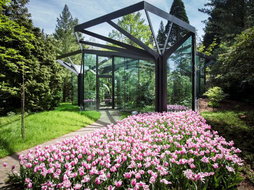 Ab dem 6. Juni wieder offen: der Botanische Garten Grüningen. Bild: Dominique Meienberg