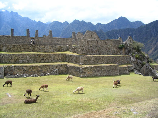 Machu Picchu erleben mit PERUline