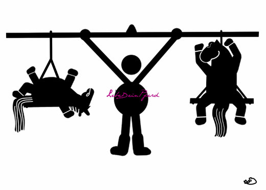 Alles in BALANCE
