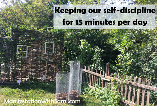 keep our self-discipline for 15 minutes per day to supercharge your self-improvement