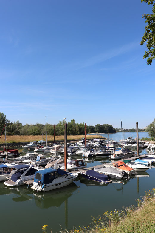 Kleine Marina in Zündorf für Freizeitskipper