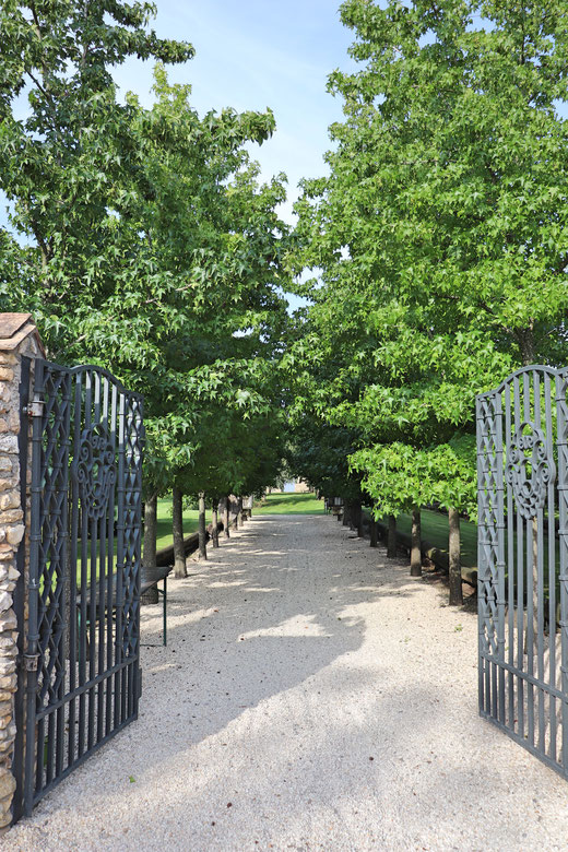 Eingang zum 'toskanischen Garten' auf dem Weingut Kloster Kraul