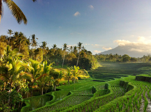 Batu Karu in Tabanan