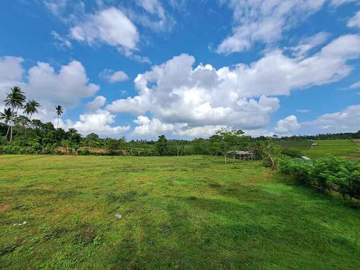 Tabanan land for sale