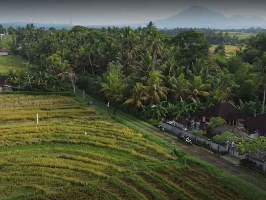 Tabanan land for sale