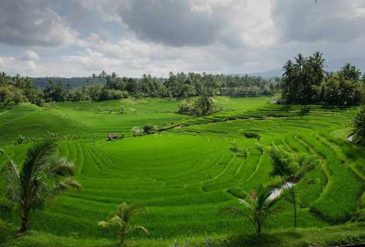 Bali real estate for sale