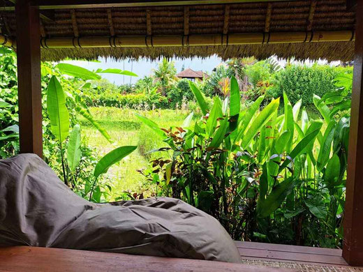 Ubud onroerend goed te koop