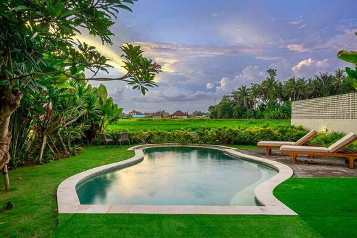Kedungu real estate for sale